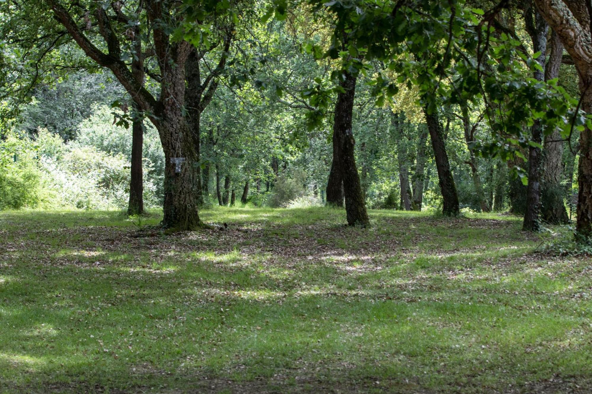 Le Domaine Du Bois *